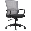 HALEY II Ergonomic Mesh Task Chair