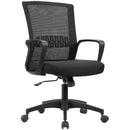 HALEY II Ergonomic Mesh Task Chair